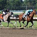 super high five horse bet